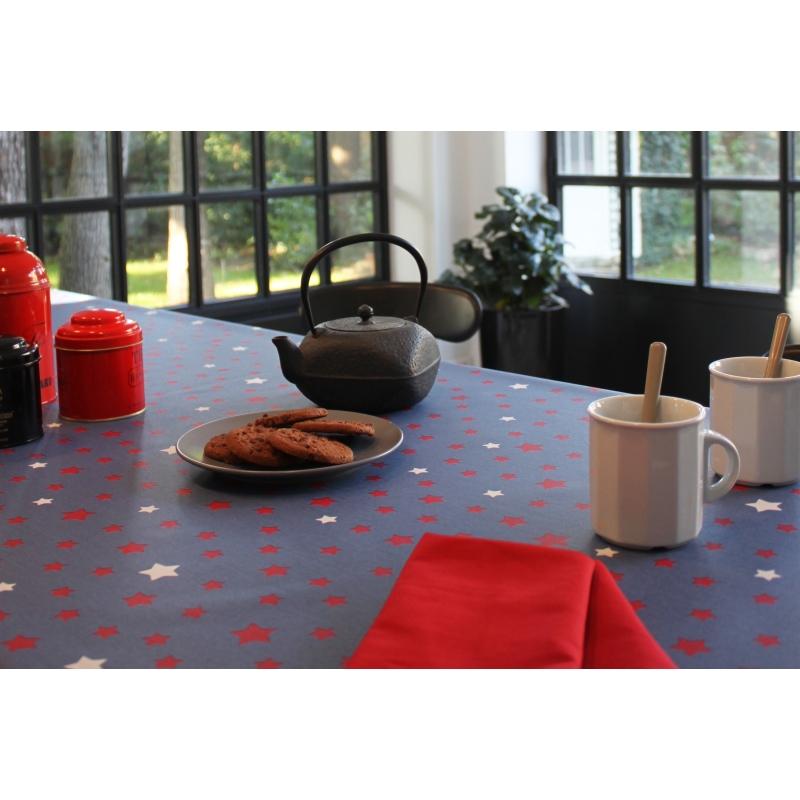 Coupon enduit 50x80cm Etoile denim/rouge
