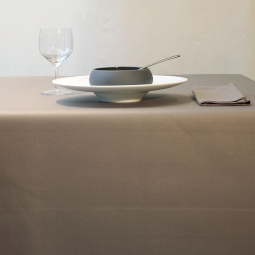 Coupon enduit 50x80cm Uni taupe