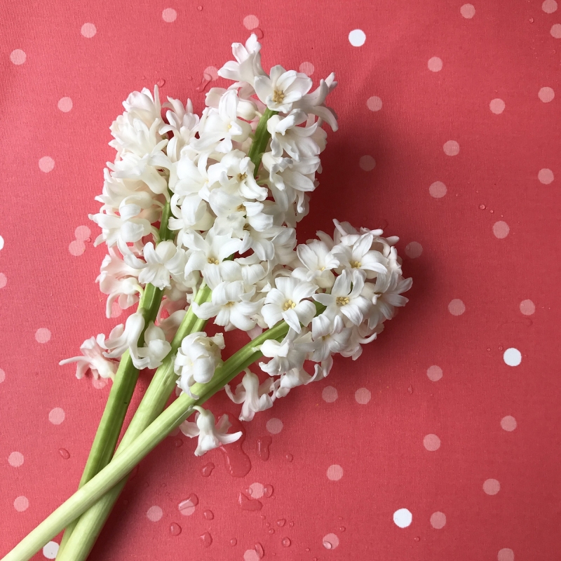 Coupon en coton enduit 50x80cm CONFETTIS Corail Rose