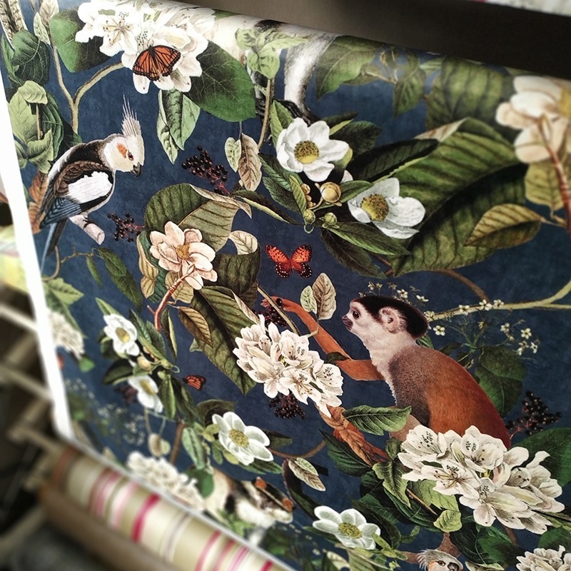 Tissus en velours au mètre singe et perroquets bleu pétrole