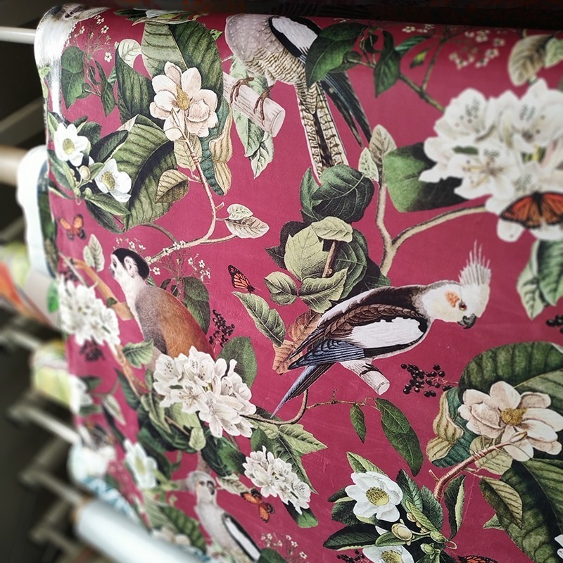 Tissus en velours singe perroquets rouge