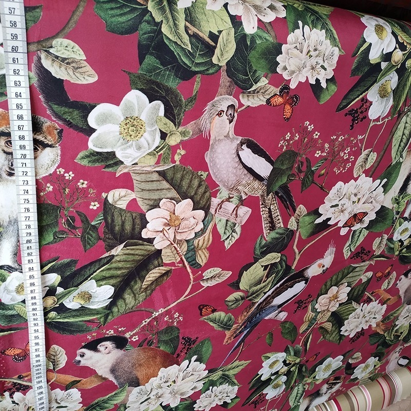 Tissus en velours singe perroquets rouge