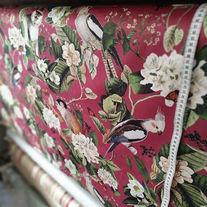 Tissus en velours singe perroquets rouge